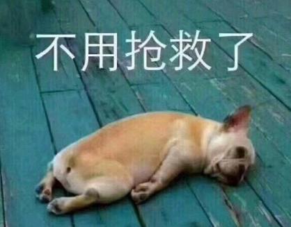 沙雕 大杂烩 魔性 搞笑 文字表情包