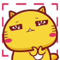 猫 萌宠 拍手 可爱