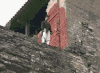 搞笑 逗比 神操作 厉害了