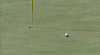 高尔夫球 golf 进球 胜利