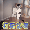打死你哦