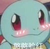抽象话 铁憨憨 杰尼龟 宝可梦 蠢萌