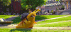 怪兽大学 Monsters+University 艰难 不容易