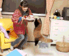 小熊猫 小浣熊 干脆面 挂