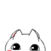 小猫 可爱 大眼睛 呆萌