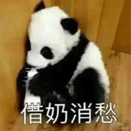 萌宠 熊猫 大熊猫 戒奶消愁 伤心