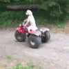狗狗 山地车 搞笑 骑车