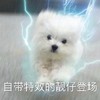 萌娃 猫星人 自带特效的靓仔登场 我来了 呆萌 搞怪
