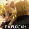 萌宠 猫星人 丑东西 你在吗 搞怪 逗