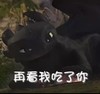 再看我吃了你 黑色 猫咪 趴着