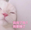 萌宠 喵星人 说完了吗 我要睡了 呆萌 可爱