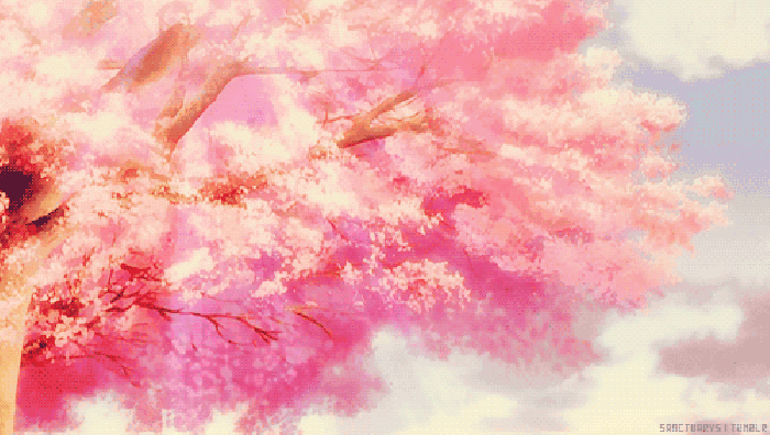 樱花 季节 掉落 动漫