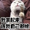 搞笑 端妃 喵星人 我美起来连我自己都怕