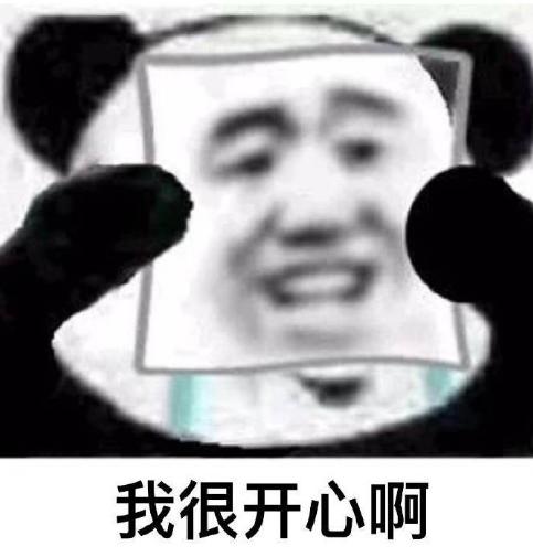 熊猫头 沙雕 双重人格 我没事啊 蠢萌