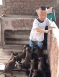搞笑 喵星人 萌娃 可爱
