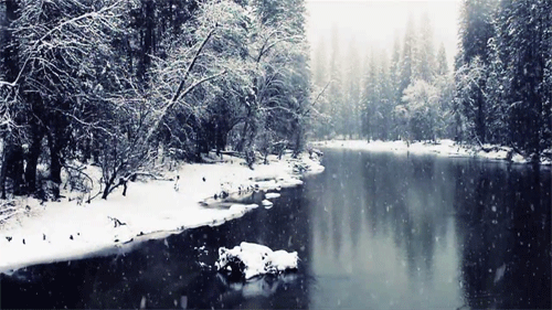 冬天, 约塞米蒂国家公园 下雪 美丽