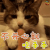 萌宠 猫 喵星人 不开心就吃手手 soogif soogif出品