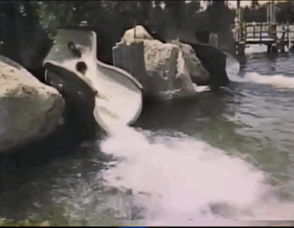 河国家, 80年代, 佛罗里达, 奥兰多主题公园
