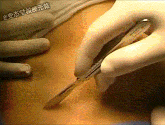 恶心 恶搞 啊 恐怖