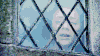 美女 窗户 享受