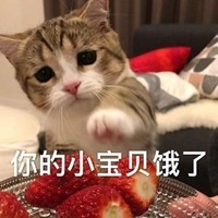 萌宠 喵星人 你的小宝贝饿了 想吃东西 呆萌 搞怪