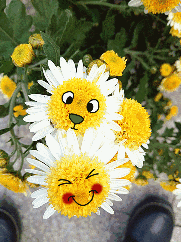 卡通 花朵 笑脸 植物