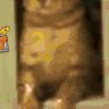 猫咪 卡住 可爱