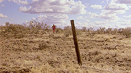 沙漠 desert 奔跑 狂野