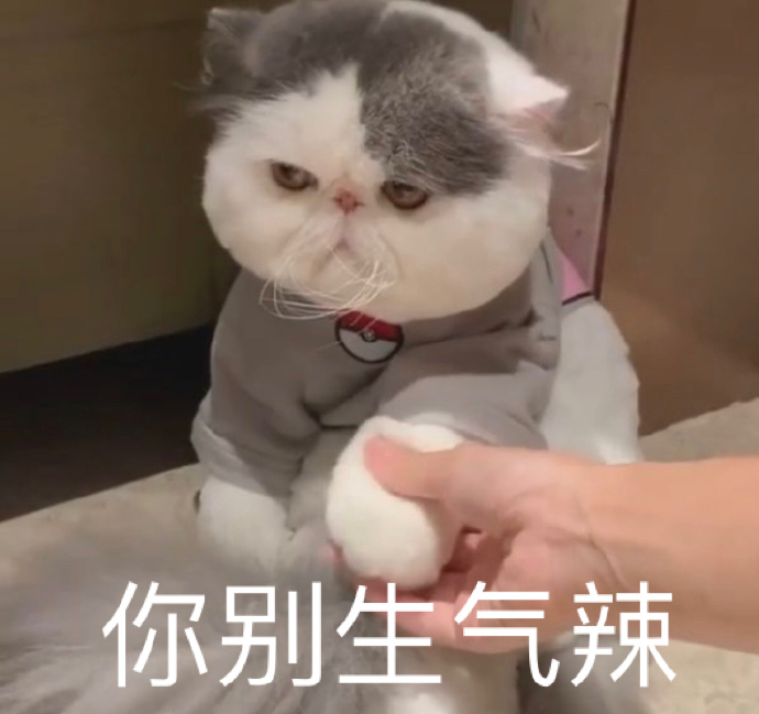 萌宠gif猫星人gif你被生气啦gif安慰gif呆萌gif可爱gif