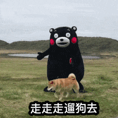 熊本熊 狗狗 走走 遛狗去搞笑