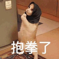 猫 抱拳 可爱 呆萌
