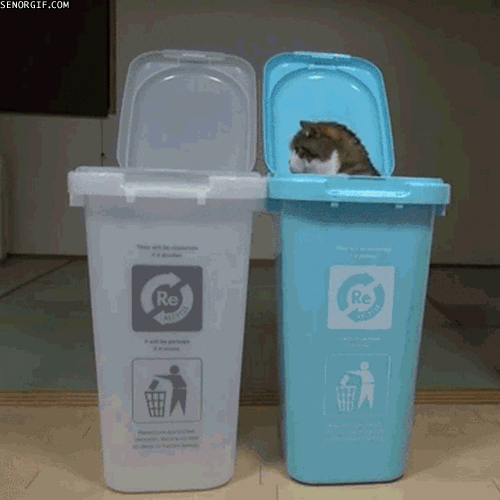 回收 猫 圈 跳 无限的猫