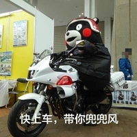 快上车带你兜兜风  骑车  熊本熊  斗图