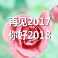 再见2017 你好2018 鲜花 过去 未来