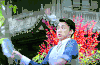 古装 鱼 打脸