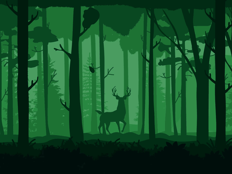 森林 绿色 大自然 鹿