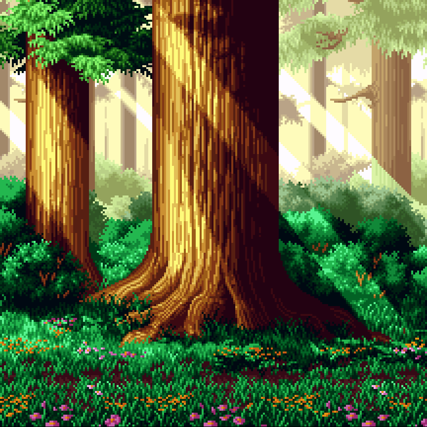 森林 forest