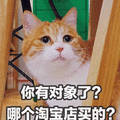 对象 淘宝 猫