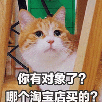 对象 淘宝 猫 可爱 呆萌