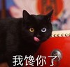 萌宠 猫星人 我馋你了 想吃 呆萌 可爱