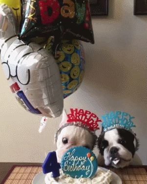 两只小狗 蛋糕 过生日 气球
