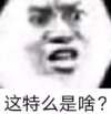 暴漫 文字表情包 这特么是啥 搞笑 逗 沙雕
