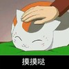 老司机 萌 猫咪 摸摸哒 - 猫咪老师