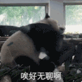 萌宠 熊猫 哎好无聊啊 头疼 呆萌 搞怪