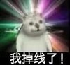 萌宠 mur猫 憨憨猫 我掉线了 呆萌 沙雕