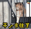 干 卡住了 萌宠 soogif soogif出品