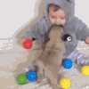 宝贝 狗狗 玩耍 可爱