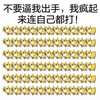 人口研究小报_人口普查小报