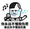 暴漫 文字表情包 你永远不懂我伤悲想白天不懂夜的黑 搞笑 逗 沙雕