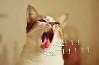 老公我饿了 张大嘴 舌头 猫咪